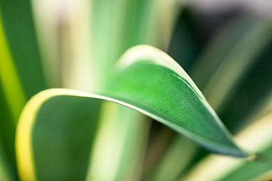 《人格解体》宣传片公布 新试玩demo新品节上线